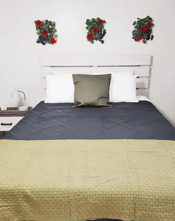 Adorable Mini Suite In Tampa United States