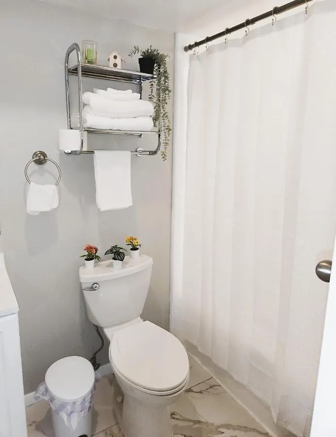 Adorable Mini Suite In Tampa